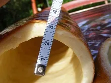 Crunchy coat of caramelized sugar — image 6
