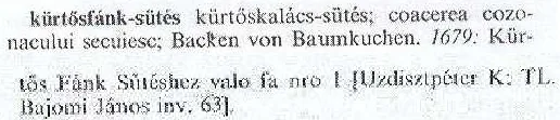A kürtőskalács eredete és rokonsága